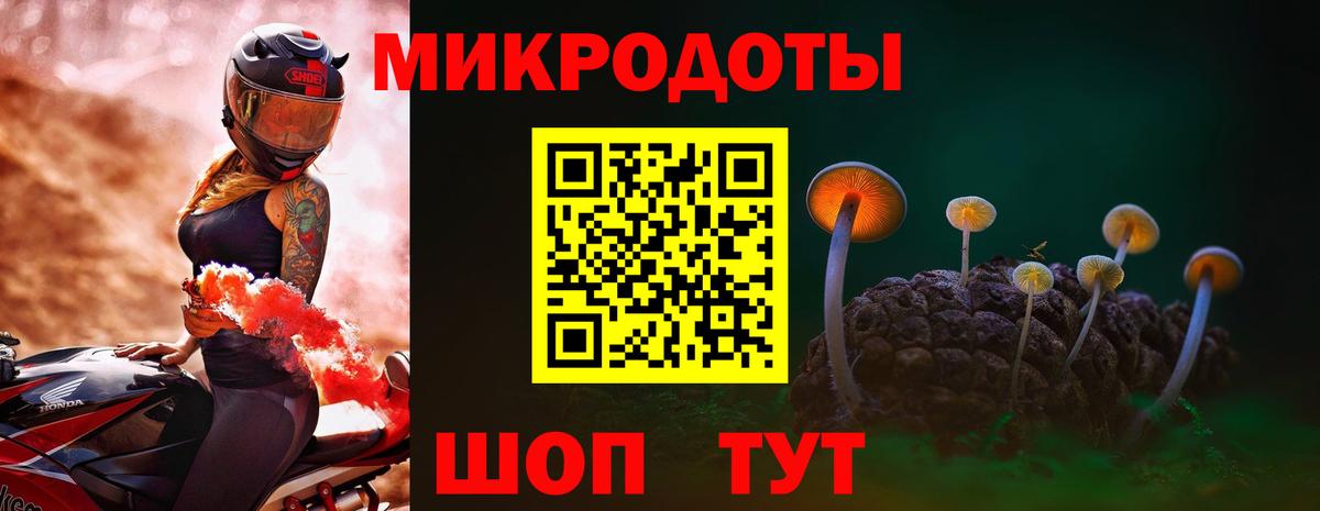 Галлюциногенные грибы Psilocybe Шелехов